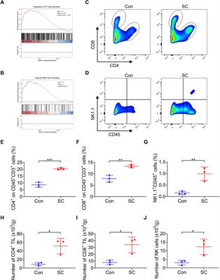 Schisandrin C enhances type I IFN response activation to reduce tumor growth and sensitize chemotherapy through antitumor immunity